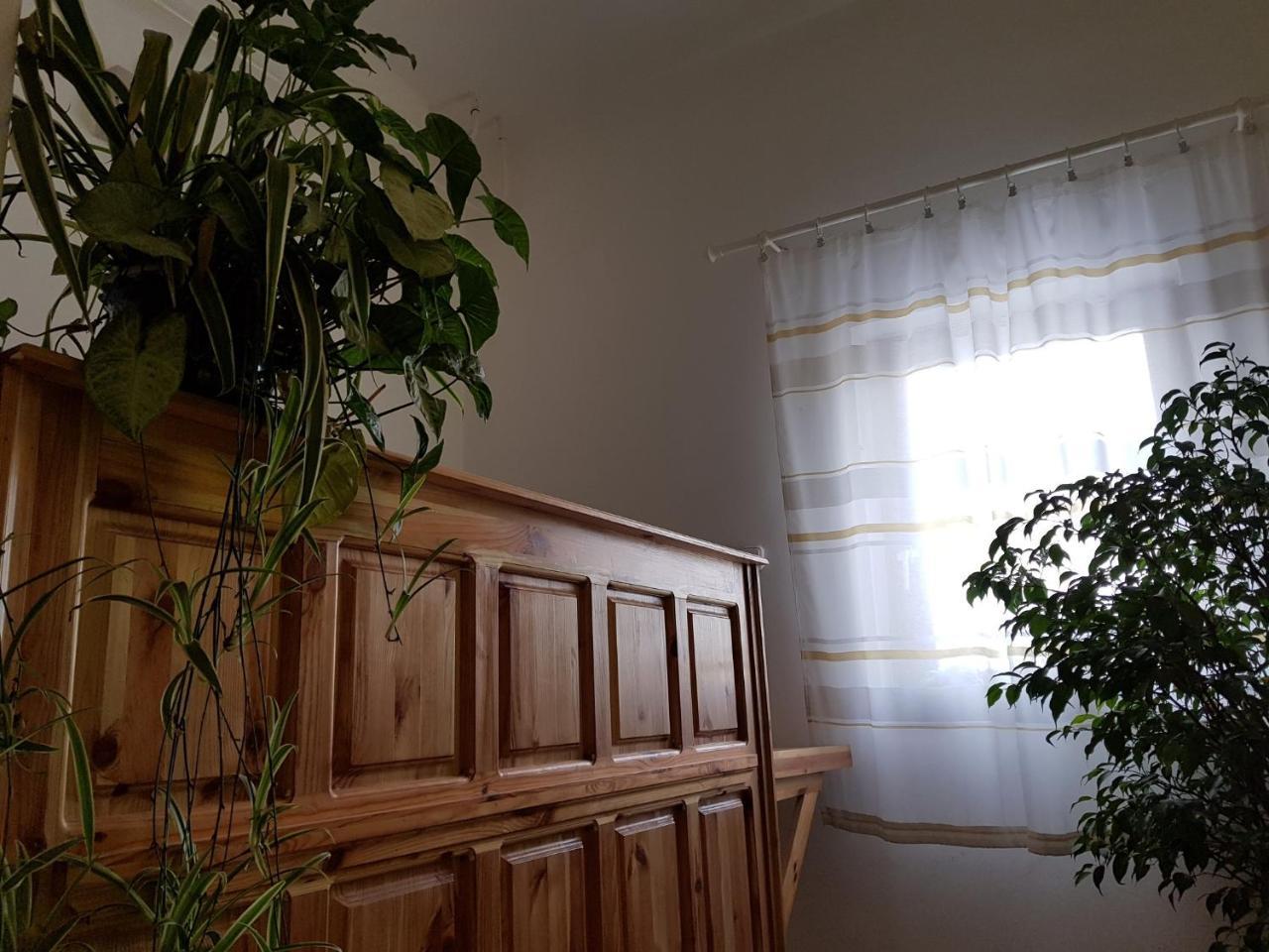 Matyas Panzio Bed & Breakfast Szeged Eksteriør bilde